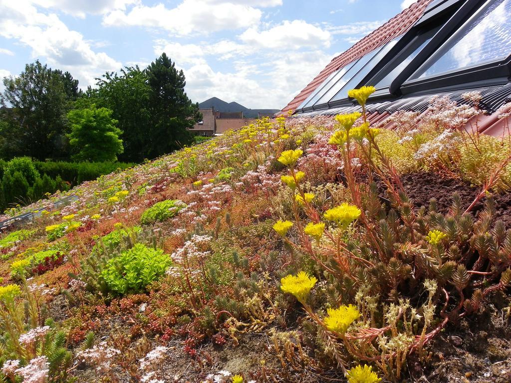 Villa Fleur de Ciel à Loos-en-Gohelle Extérieur photo