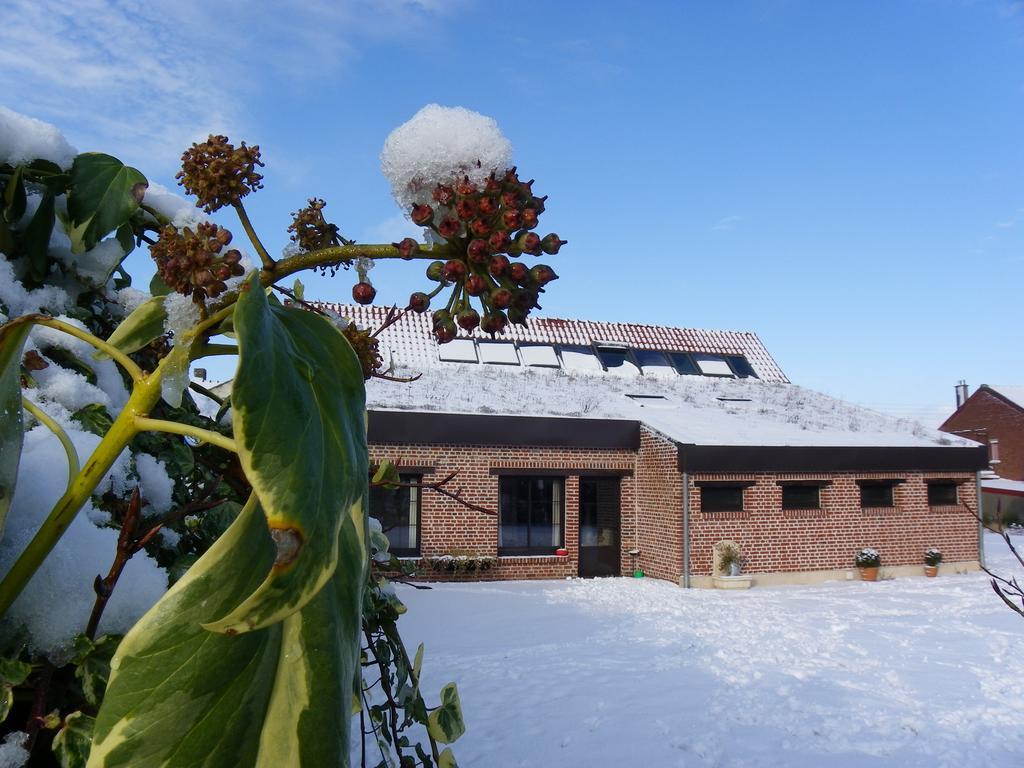 Villa Fleur de Ciel à Loos-en-Gohelle Extérieur photo